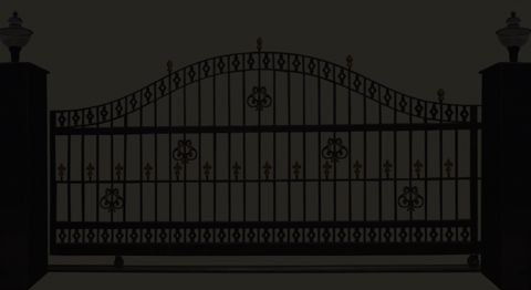 Gate Opener Solutions in Murphy, Texas